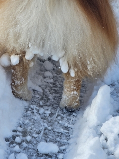 %e5%be%8c%e8%97%a4%e3%80%80%e5%85%89_20