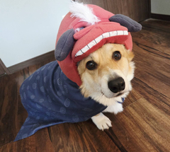 (am)%e6%b1%a0%e5%8c%97%e3%80%80%e6%85%8e%e4%b8%80_2025-12-27_14-45-24_208