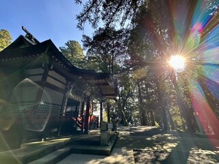 734cb9bb-8639-497e-a84a-a50c7714f8c4-1766821698--1628736252