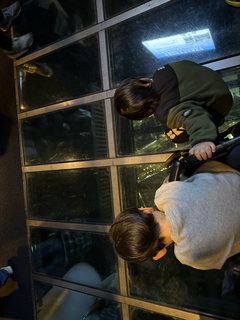 %e3%82%ac%e3%83%a9%e3%82%b9%e5%ba%8a