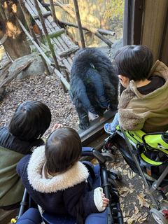 %e7%86%8a%e3%81%a8%e5%ad%90%e4%be%9b%e3%81%9f%e3%81%a1