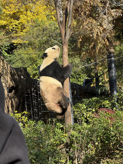 %e3%83%91%e3%83%b3%e3%83%80