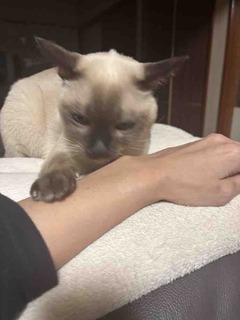 %e3%81%8a%e6%89%8b%e3%83%ab%e3%83%93%e3%83%bc