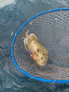 Ec864e6b-3119-45d4-914b-d7dcb874cdf4-1767055878--1559555760