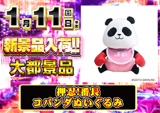 Order_ae251231-0096_order_png