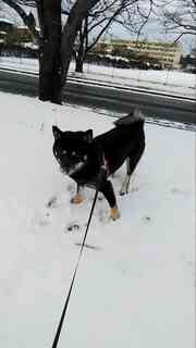 4d3ffe61-3e49-4da8-a345-28940ef1063d_1767492859244_5947