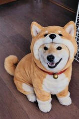 %e7%b4%b0%e5%b7%9d%e3%80%80%e7%94%b1%e9%a6%99%e9%87%8c_2026-01-06_16-44-24_441