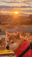 %e7%b4%b0%e5%b7%9d%e3%80%80%e7%94%b1%e9%a6%99%e9%87%8c_2026-01-06_16-42-56_677