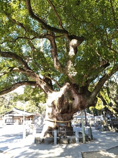 %e6%b4%b2%e5%8f%a3%e3%80%80%e5%92%8c%e4%b9%9f_2026-01-06_22-45-20_523