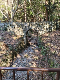 %e6%b4%b2%e5%8f%a3%e3%80%80%e5%92%8c%e4%b9%9f_2026-01-06_22-35-10_155