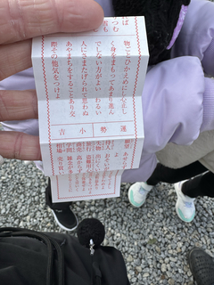 2_2026-01-08_10-18-55_234