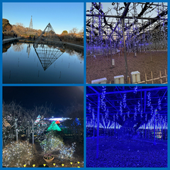 4_2026-01-08_10-18-54_640