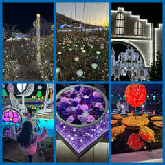 5_2026-01-08_10-18-53_500