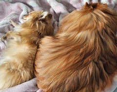 %e5%be%8c%e8%97%a4%e3%80%80%e5%85%89_2025