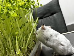 %e6%9d%91%e6%9e%97%e3%80%80%e5%bd%a9%e4%b9%83_2026-01-21_20-00-23_772