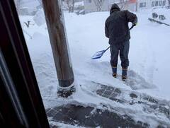 %e9%9b%aa%e3%81%a0%e3%81%ad%e3%83%bc