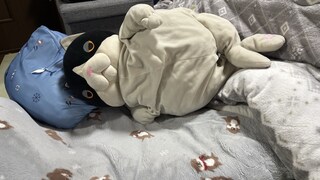 %e3%83%80%e3%83%aa%e3%81%a1%e3%82%83%e3%82%93