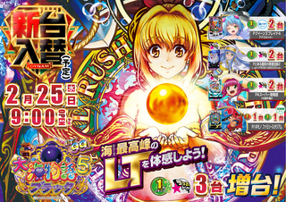 Order_ae260210-0382_order_png