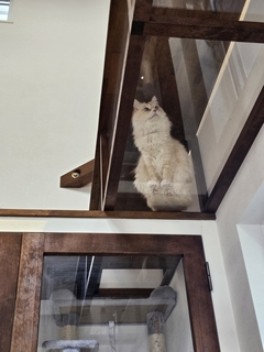 %e5%be%8c%e8%97%a4%e3%80%80%e5%85%89_2026-02-19_14-02-58_940