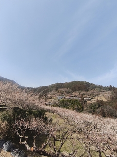 %e6%b4%b2%e5%8f%a3%e3%80%80%e5%92%8c%e4%b9%9f_2026-02-23_18-39-13_875