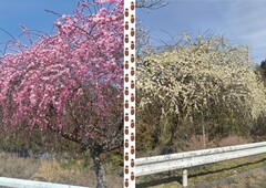 %e3%82%bf%e3%82%a4%e3%83%88%e3%83%ab%e3%81%aa%e3%81%97