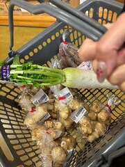 %e3%82%ad%e3%82%af%e3%82%a4%e3%83%a2