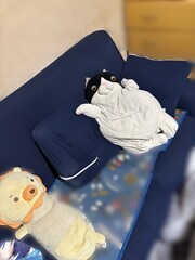 %e3%83%80%e3%83%aa%e3%81%a1%e3%82%83%e3%82%93