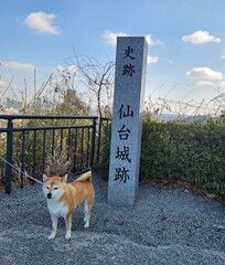 %e4%bb%99%e5%8f%b0%e5%9f%8e%e8%b7%a1