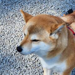 %e3%81%8b%e3%82%8f%e3%81%84%e3%81%84%e3%81%8a%e9%a1%94