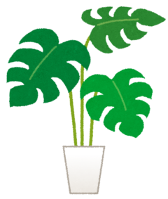 %e8%91%89%e3%81%a3%e3%81%b1