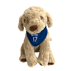 %e5%95%86%e5%93%81%e7%94%bb%e5%83%8f_foco%e5%a4%a7%e8%b0%b7%e3%83%89%e3%83%83%e3%82%b02