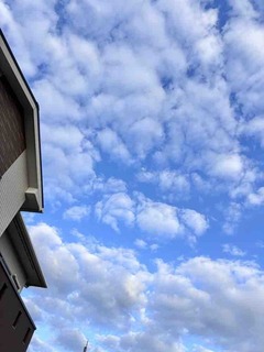 C59b18dc-52d6-41cb-a6fd-655c34f6633b-1773573633--1353703396