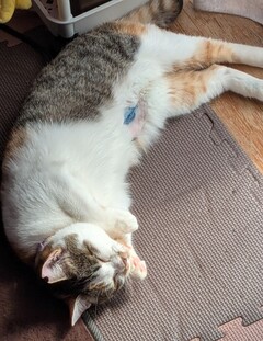 %e3%82%88%e3%81%8f%e3%81%8c%e3%82%93%e3%81%b0%e3%82%8a%e3%81%be%e3%81%97%e3%81%9f%ef%bc%81