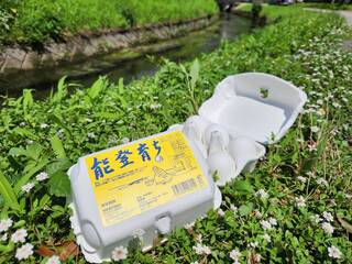 %e3%80%90%e5%8d%b5%e3%80%91%e8%83%bd%e7%99%bb%e8%82%b2%e3%81%a1%e7%94%bb%e5%83%8f%e2%91%a0