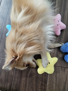 %e5%be%8c%e8%97%a4%e3%80%80%e5%85%89_2026-03-20_17-31-33_486