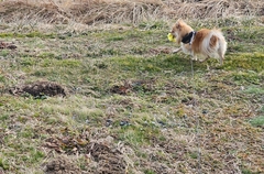 %e5%be%8c%e8%97%a4%e3%80%80%e5%85%89_2026-03-20_17-50-19_902