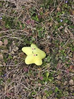 %e5%be%8c%e8%97%a4%e3%80%80%e5%85%89_20