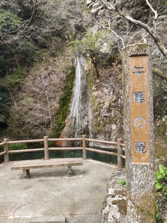 %e6%b4%b2%e5%8f%a3%e3%80%80%e5%92%8c%e4%b9%9f_2026-03-22_21-52-26_938