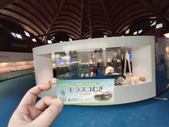 %e6%b4%b2%e5%8f%a3%e3%80%80%e5%92%8c%e4%b9%9f_2026-03-22_21-52-35_226