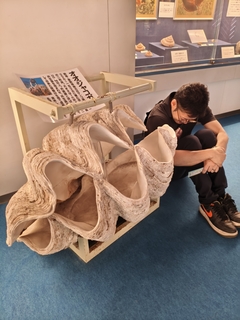 %e6%b4%b2%e5%8f%a3%e3%80%80%e5%92%8c%e4%b9%9f_2026-03-22_21-52-52_574