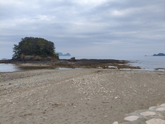 %e6%b4%b2%e5%8f%a3%e3%80%80%e5%92%8c%e4%b9%9f_2026-03-22_21-52-55_384