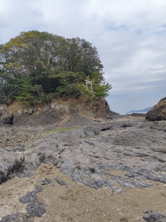 %e6%b4%b2%e5%8f%a3%e3%80%80%e5%92%8c%e4%b9%9f_2026-03-22_21-52-57_11