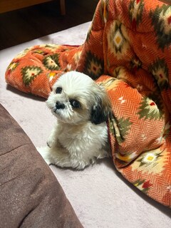 (am)%e4%b8%ad%e5%b7%9d%e3%80%80%e6%99%ba%e5%b0%86_2026-03-08_17-20-36_935