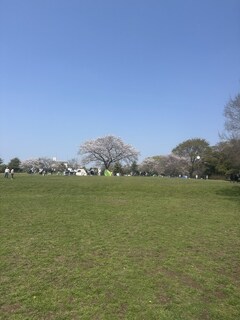 %e5%85%ac%e5%9c%92%e5%86%99%e7%9c%9f