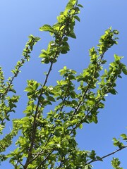 %e5%b0%8f%e8%8f%85%e3%80%80%e5%ad%9d%e5%ad%90_2026-04-14_10-08-39_217