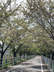 %e5%b0%8f%e8%8f%85%e3%80%80%e5%ad%9d%e5%ad%90_2026-04-14_10-08-38_209