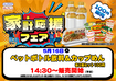 Order_ae260502-0451_order_png