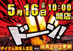 Order_ae260508-0464_order_png