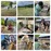 9c872857-31e0-4993-8cc3-744a5b95c165-1778807148-916314706