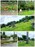 %e4%b8%a6%e6%9c%a8%e3%80%80%e7%b4%80%e5%ad%90_2026-08-04_09-27-53_528